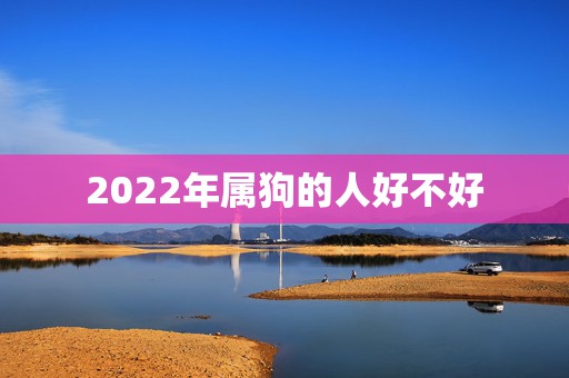 2022年属狗的人好不好，82年属狗何时走大运