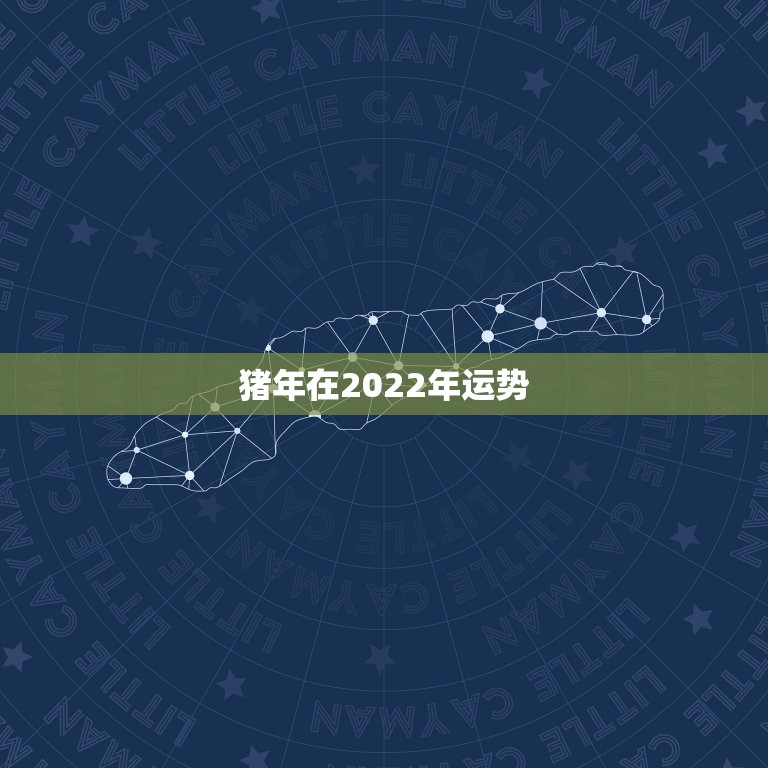 猪年在2022年运势，83年属猪的一生