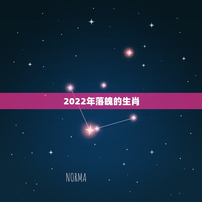 2022年落魄的生肖，生肖猴2022年运势大全