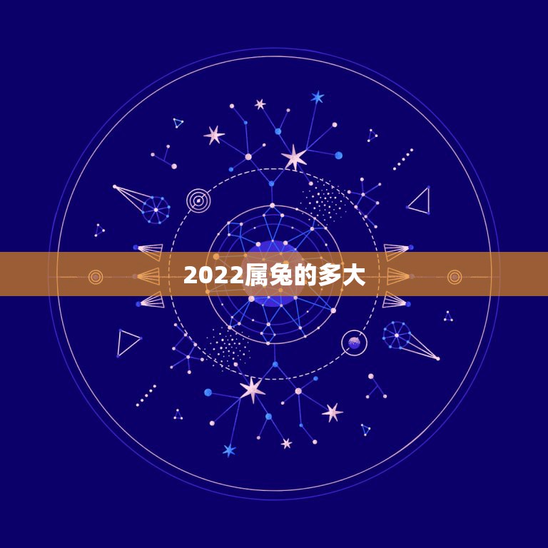 2022属兔的多大，兔人2022年运势