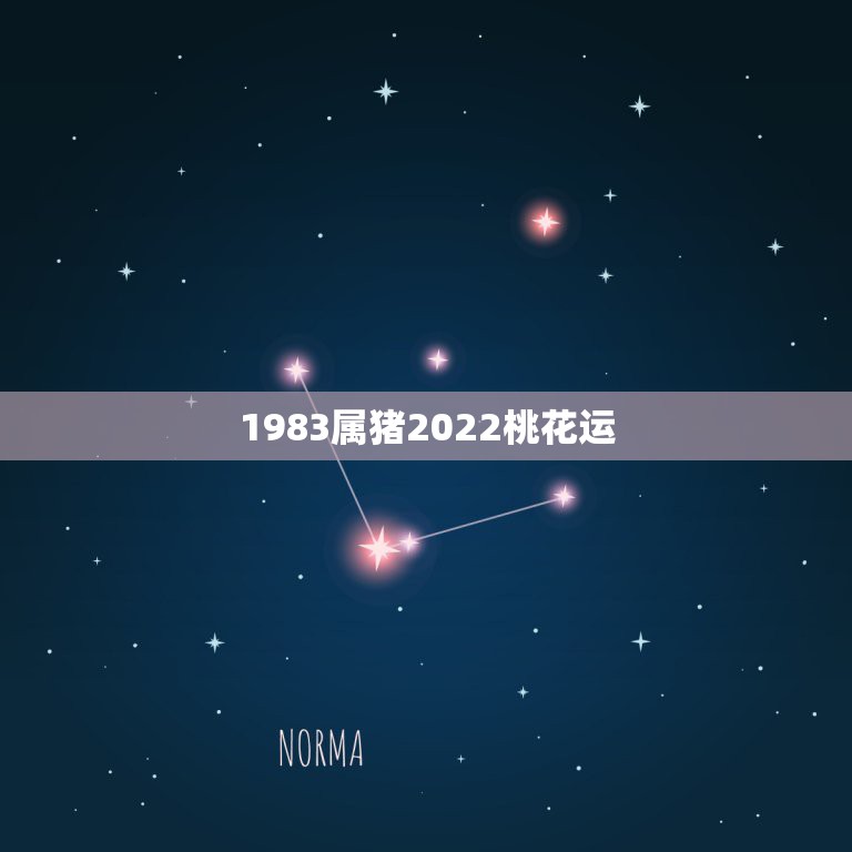 1983属猪2022桃花运，属猪的桃花运