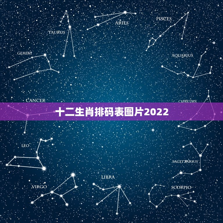 十二生肖排码表图片2022