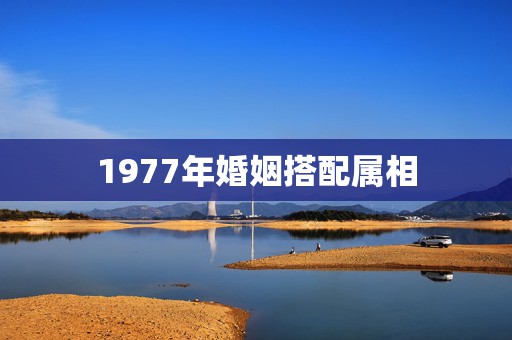 1977年婚姻搭配属相，1977属蛇和87年属兔合作