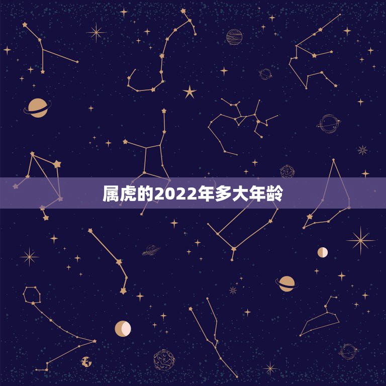 属虎的2022年多大年龄，宋韶光2022年官