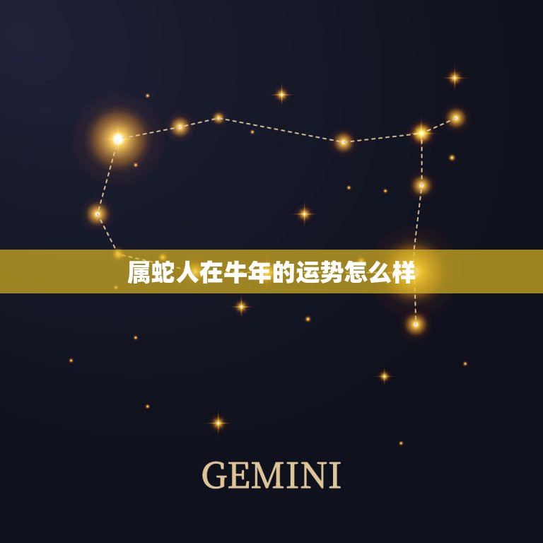 属蛇人在牛年的运势怎么样，属蛇人2022 年全年运势