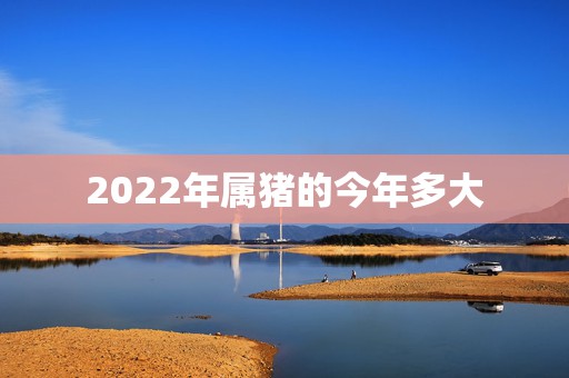 2022年属猪的今年多大，83猪2022年运势完整版