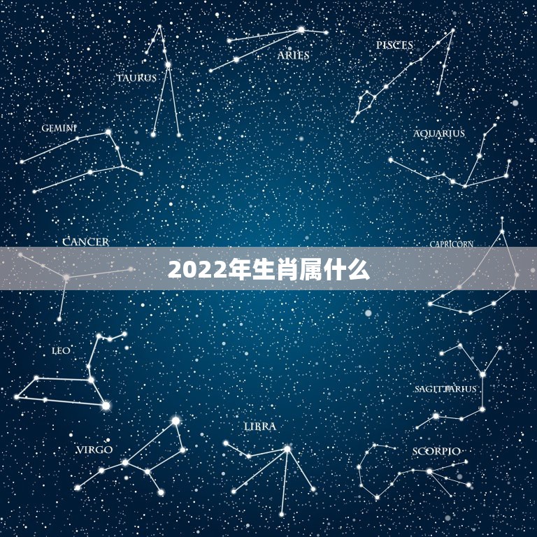 2022年生肖属什么，人的2022年是什么属相