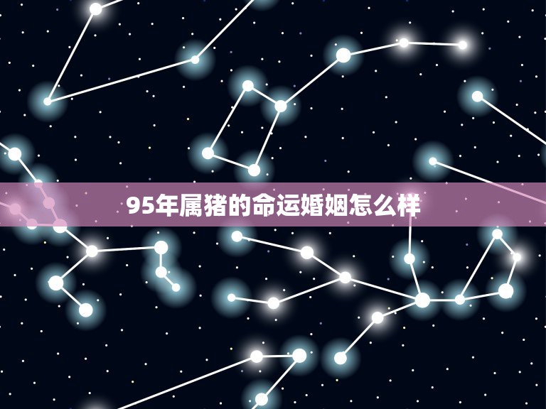 95年属猪的命运婚姻怎么样，71年属猪49岁命运2022