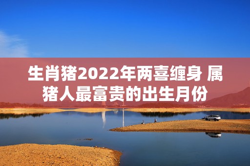 生肖猪2022年两喜缠身 属猪人最富贵的出生月份