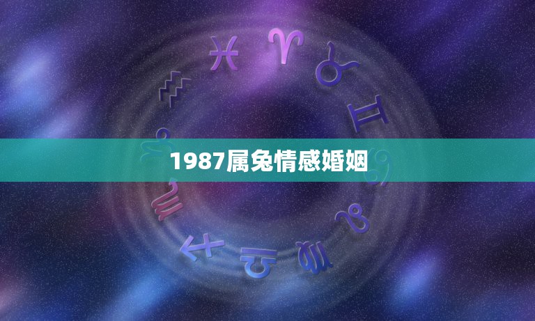 1987属兔情感婚姻，1987年属兔的人婚姻