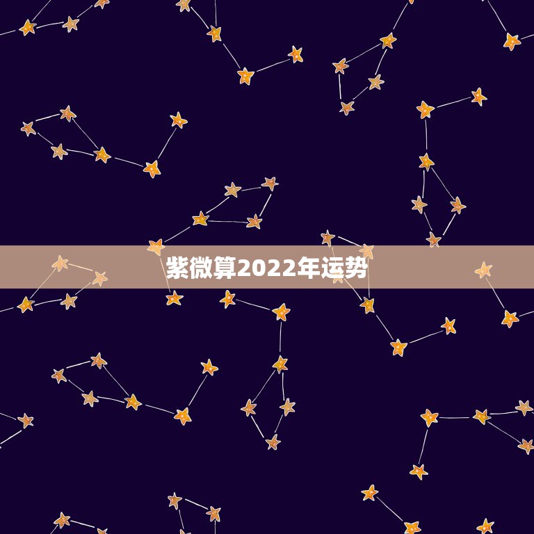 紫微算2022年运势，请紫微斗数大师帮忙看十年大运和2023年流年运势