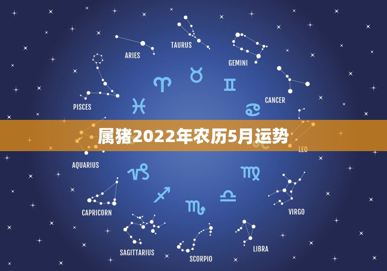 属猪2022年农历5月运势，属猪人在5月运势会怎样