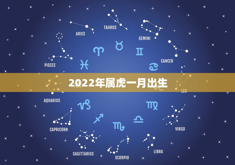 2022年出生属什么图片