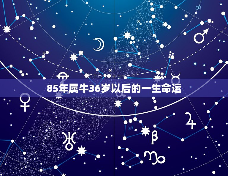 85年属牛36岁以后的一生命运 1985年属牛人性格