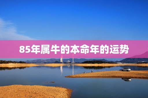 85年属牛的本命年的运势 85年属牛人在2021牛年财运运势  第1张