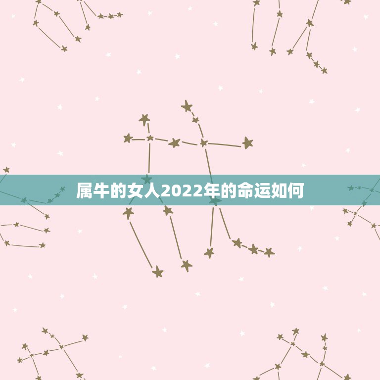 属牛的女人2022年的命运如何 属牛的女人2022年的运势如何