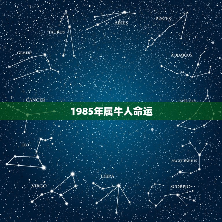 1985年属牛人命运 1985年属牛人是什么命