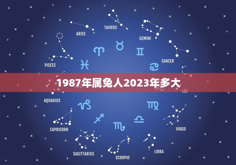 1987年属兔人2023年多大(属兔人的生肖运程与吉祥物)