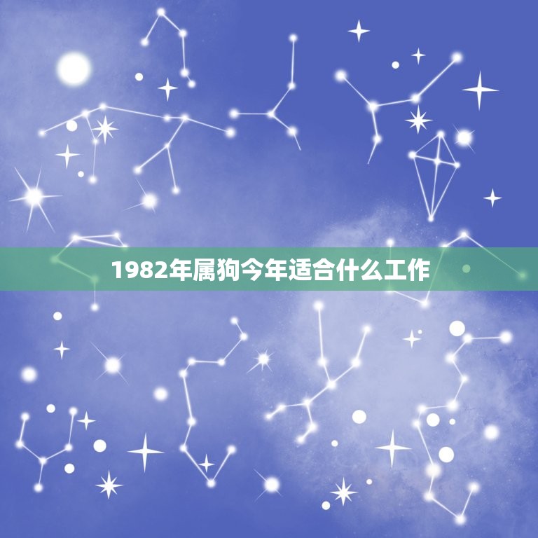 1982年属狗今年适合什么工作(根据属相分析适合的职业选择)