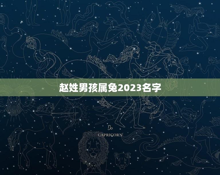 赵姓男孩属兔2023名字(如何取一个与生肖相配的好名字)