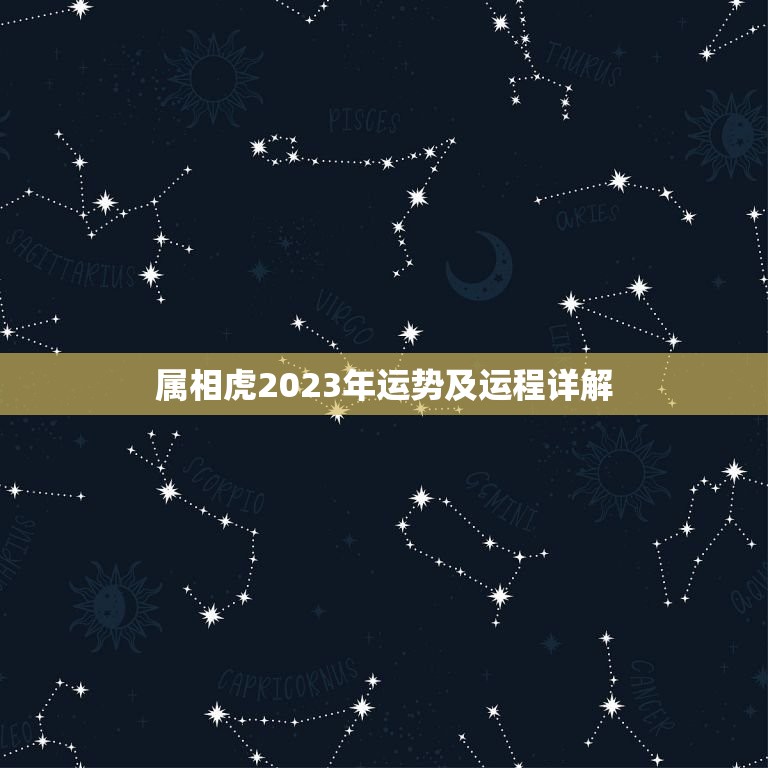 属相虎2023年运势及运程详解(猛虎崛起财运亨通)