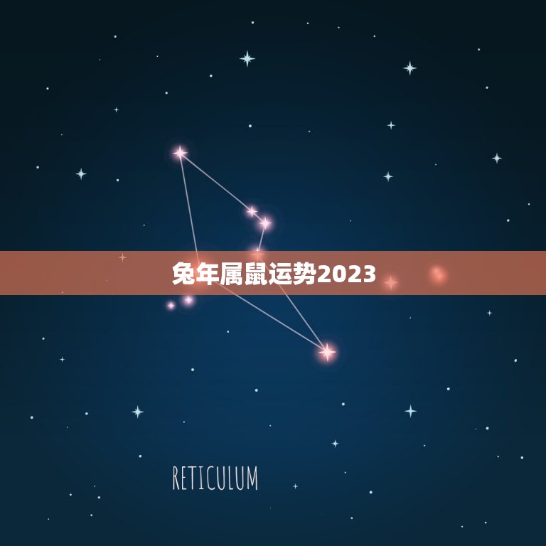 兔年属鼠运势2023(好坏参半需谨慎应对)