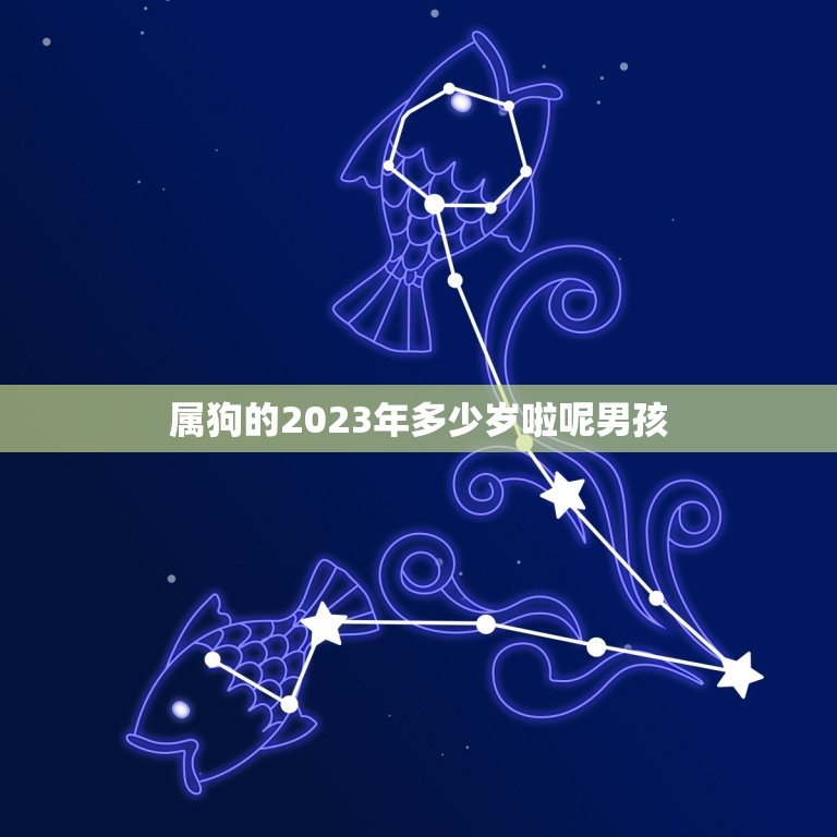 属狗的2023年多少岁啦呢男孩(迎来人生新篇章)