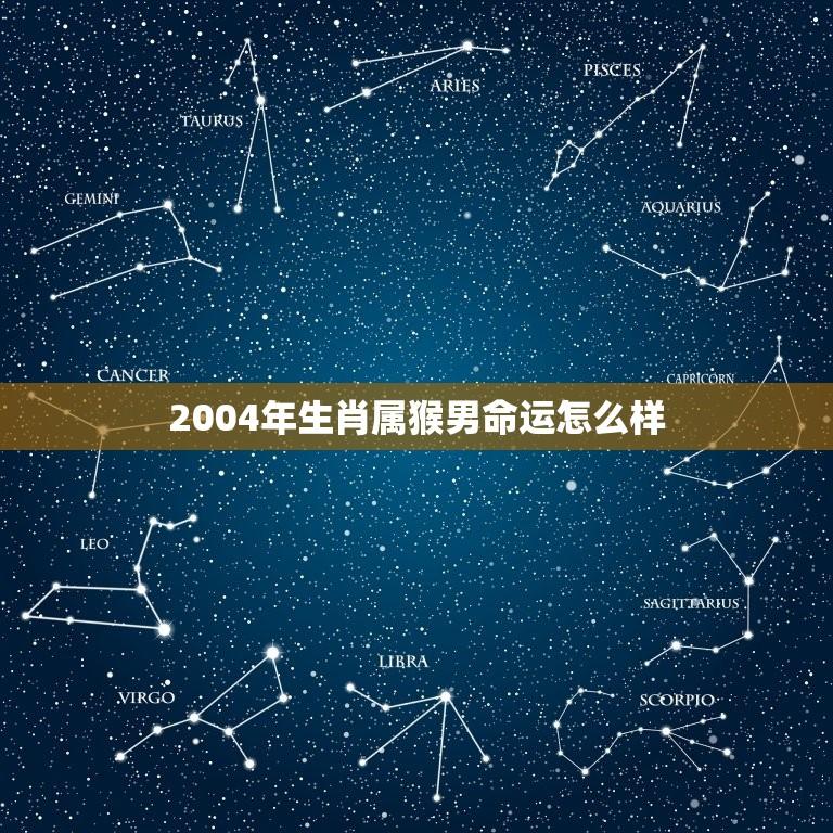 2004年生肖属猴男命运怎么样(介绍猴年生肖男的运势)