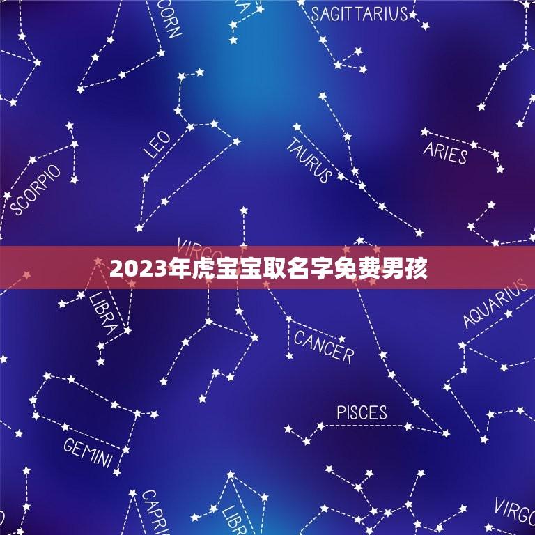 2023年虎宝宝取名字免费男孩(如何选择的宝宝名字)