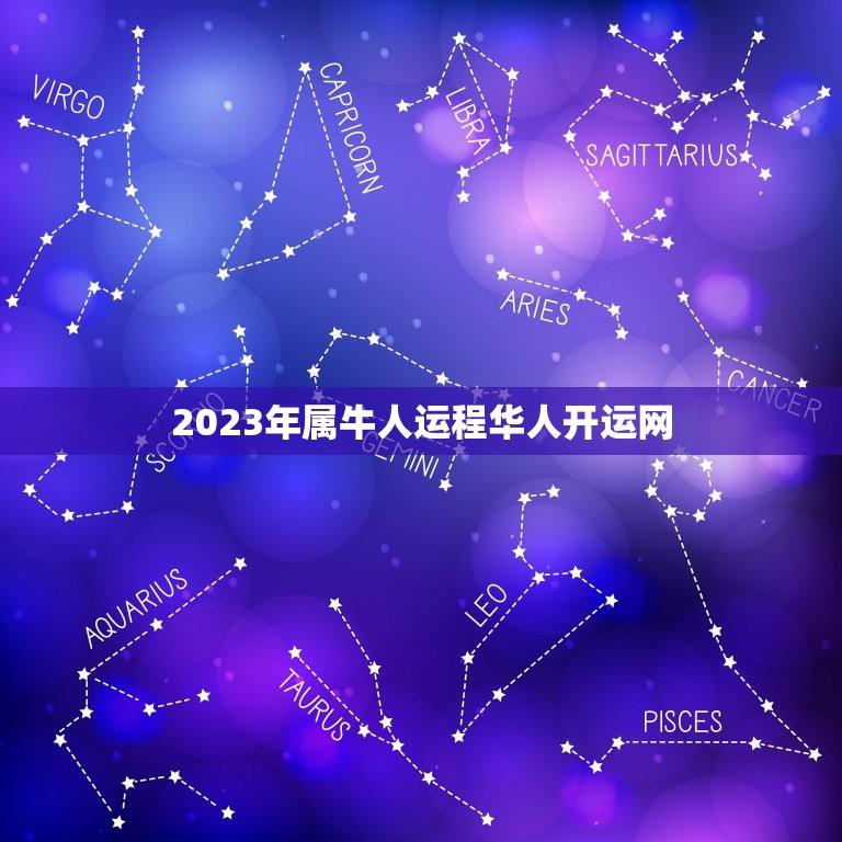 2023年属牛人运程华人开运网(介绍财运亨通事业顺利)