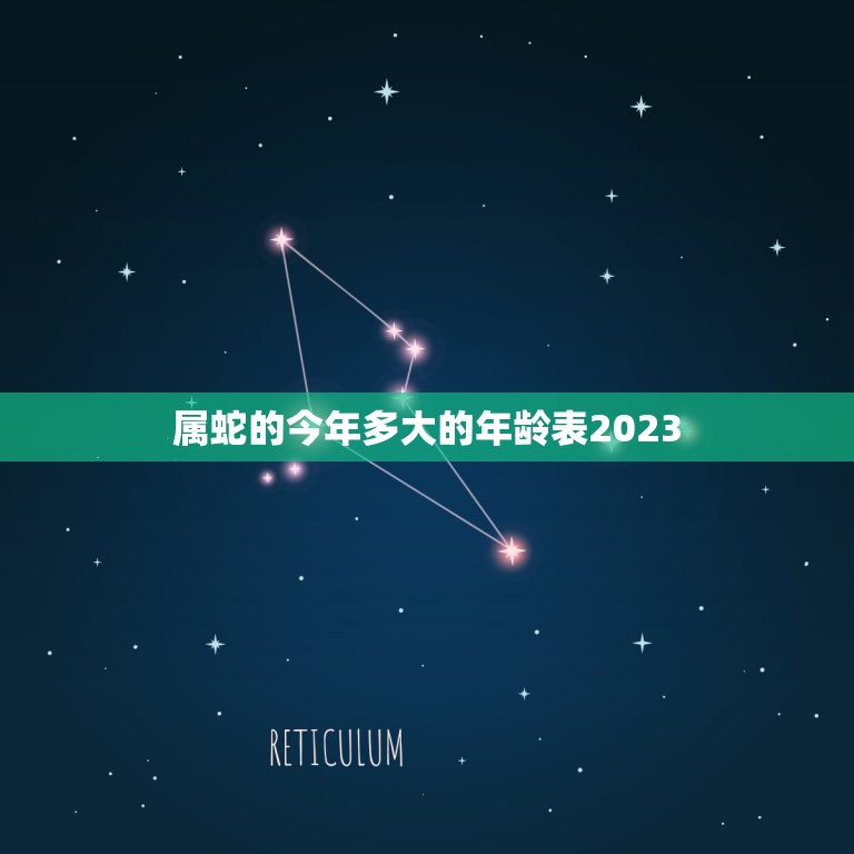 属蛇的今年多大的年龄表2023(如何计算)