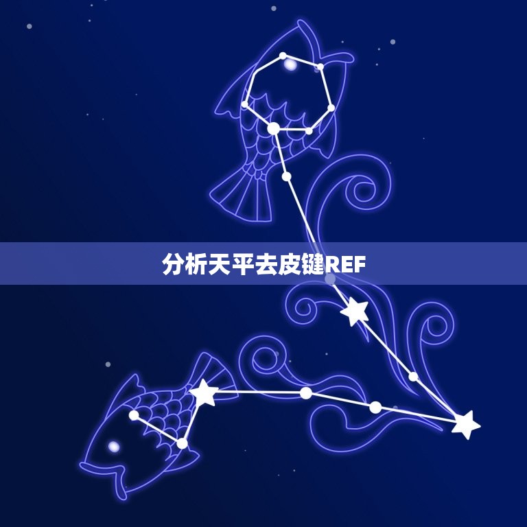 分析天平去皮键REF