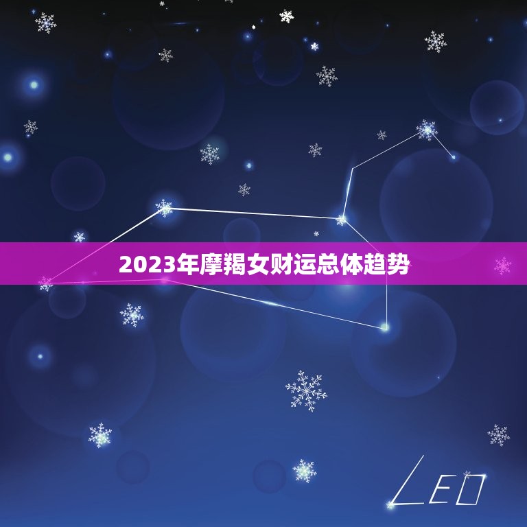 2023年摩羯女财运总体趋势