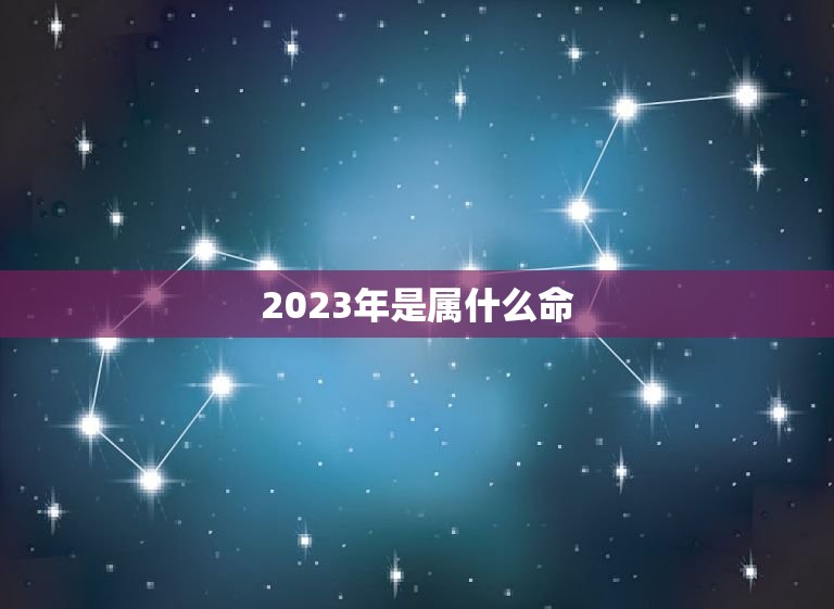 2023年是属什么命