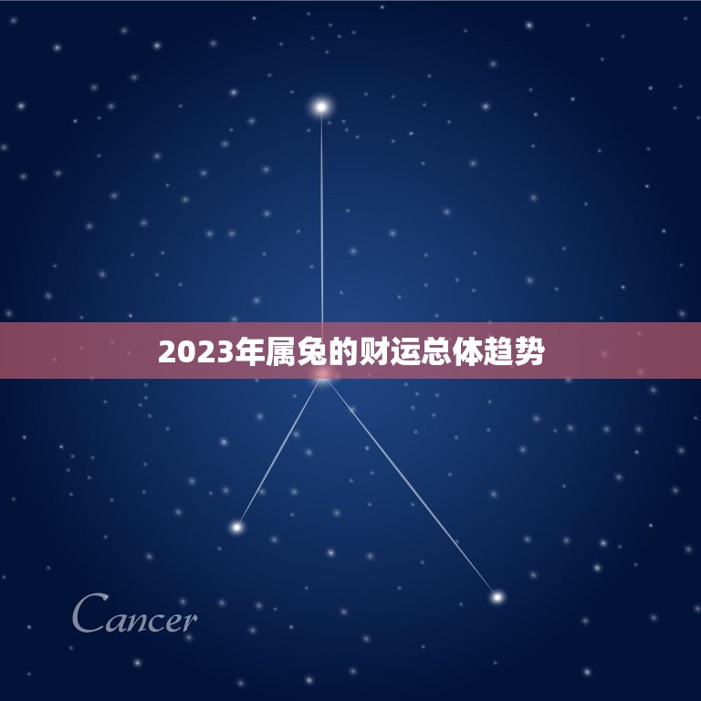 2023年属兔的财运总体趋势