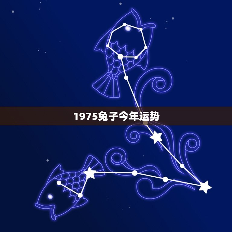 1975兔子今年运势