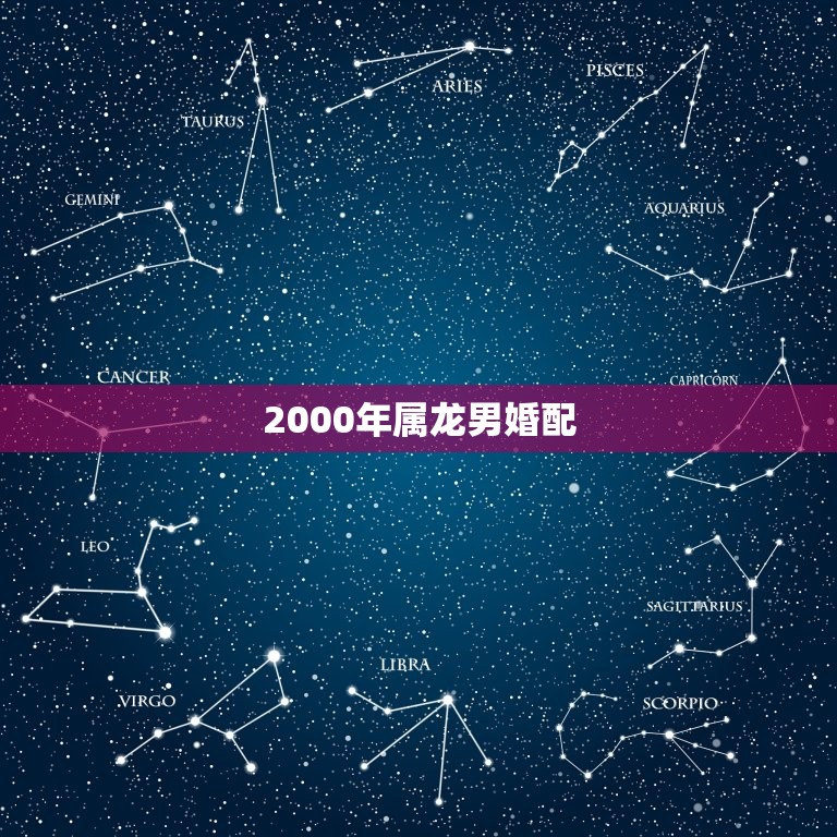 2000年属龙男婚配