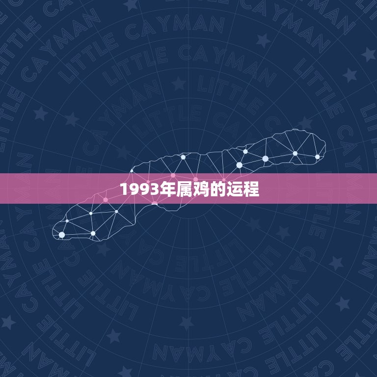 1993年属鸡的运程