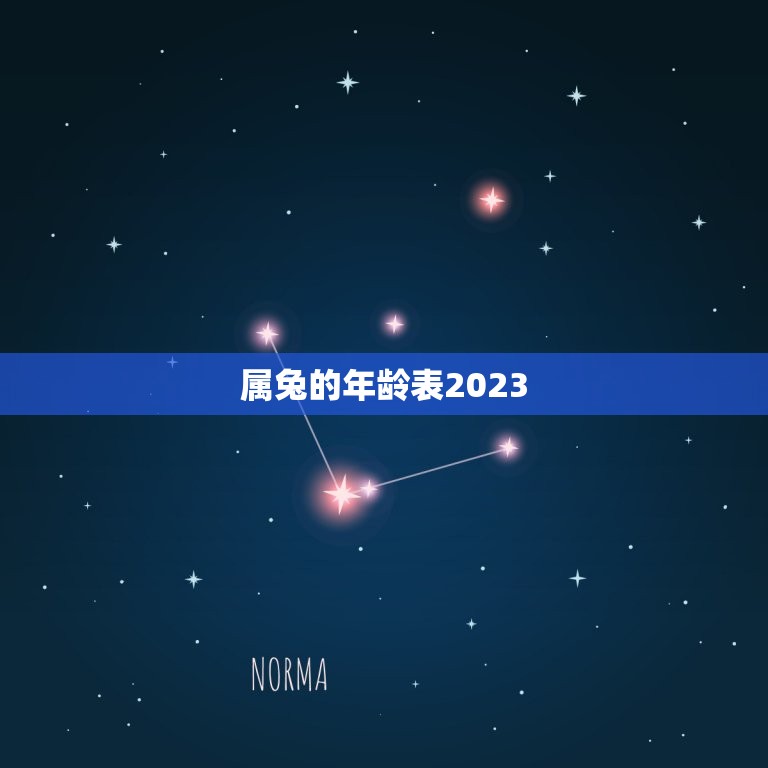 属兔的年龄表2023