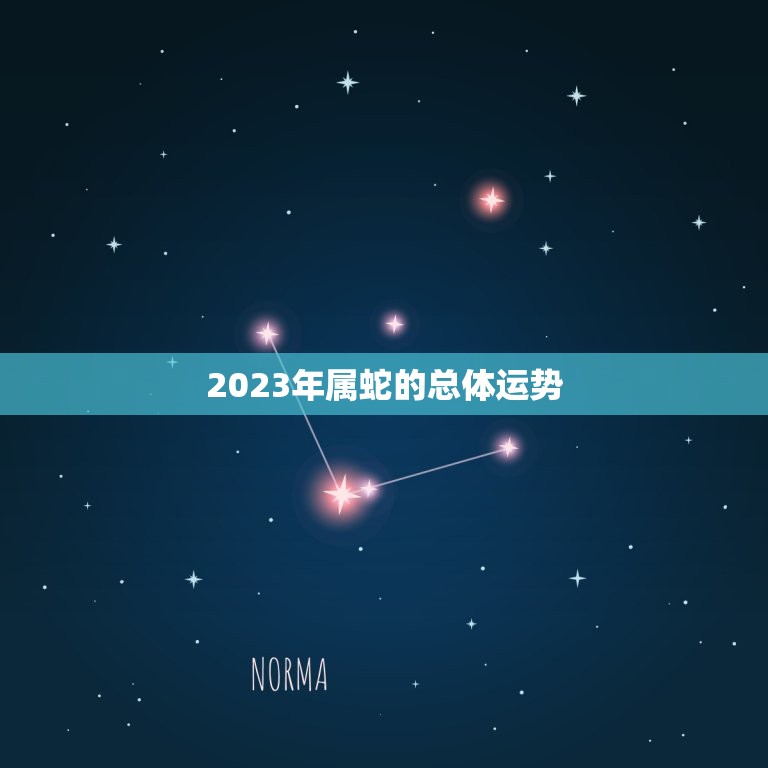 2023年属蛇的总体运势