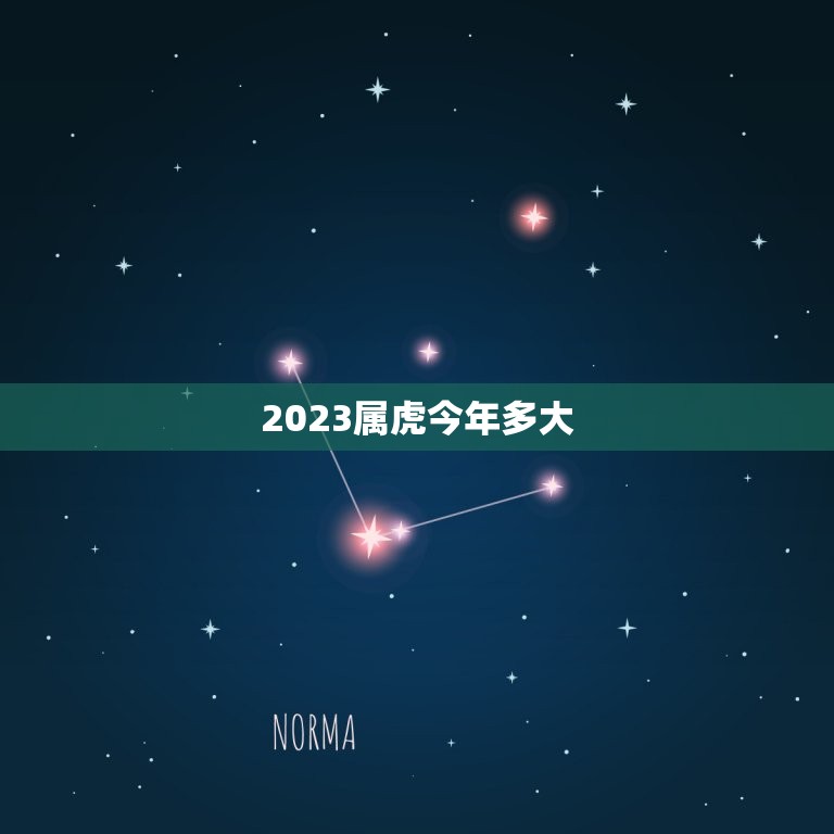 2023属虎今年多大