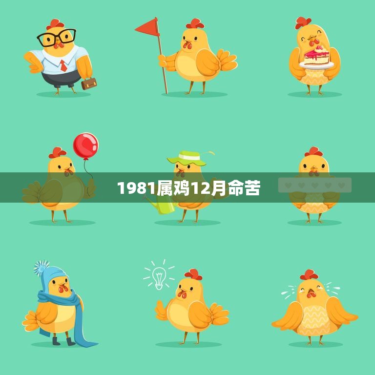 1981属鸡12月命苦(如何化解命运的阴霾)