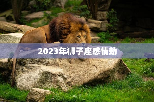 2023年狮子座感情劫(如何应对)