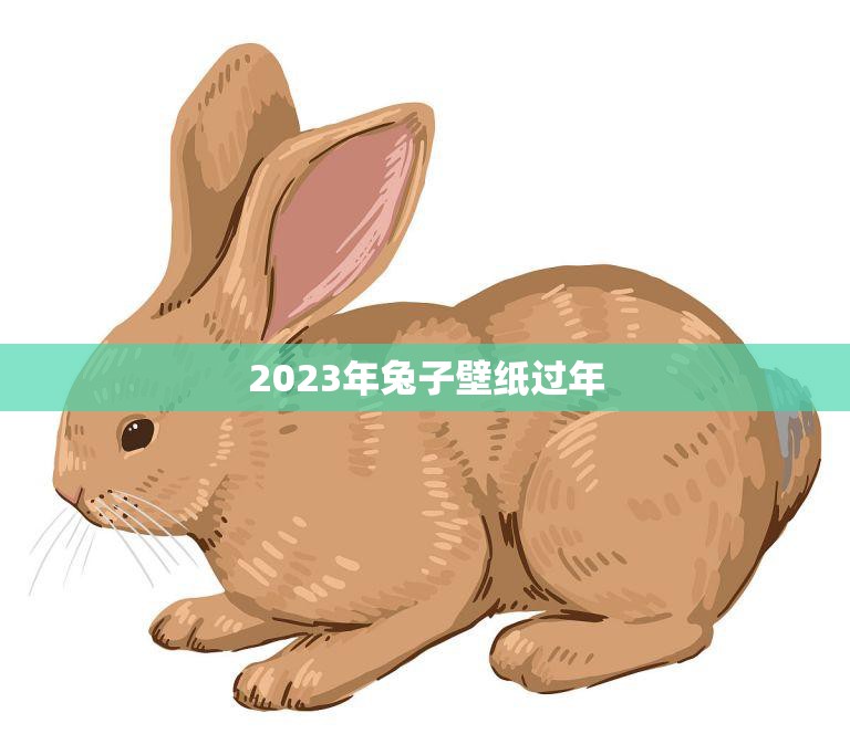2023年兔子壁纸过年(欢乐迎新春)