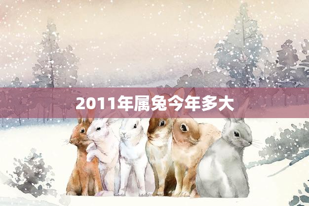 2011年属兔今年多大(属兔人的年龄计算方法)