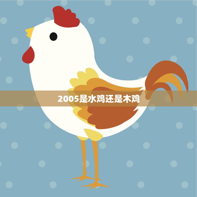 2005是水鸡还是木鸡(揭秘十二生肖中的谜团)