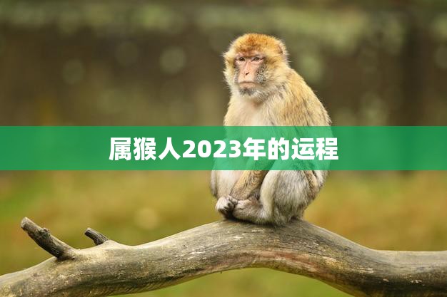 属猴人2023年的运程(幸运星高照财运亨通)