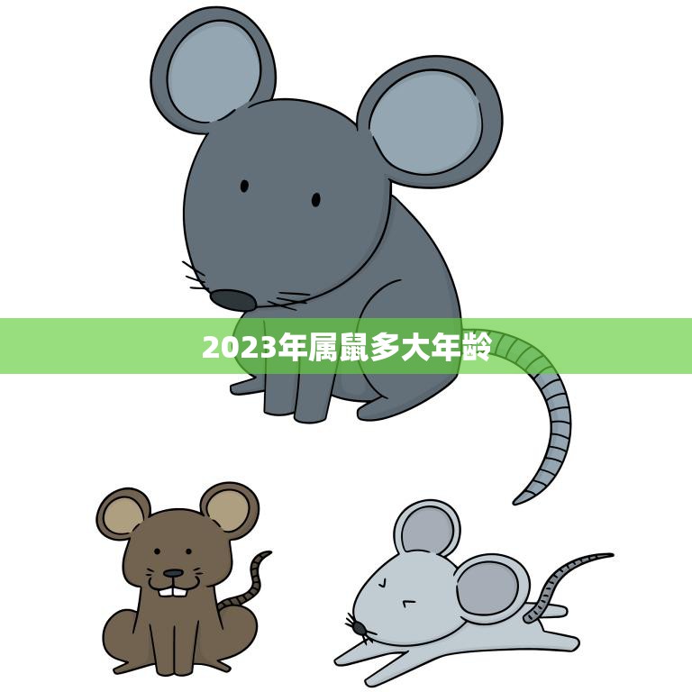 2023年属鼠多大年龄(探究属鼠人士的年龄特征与命运趋势)